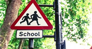 Half of primary school children have never been taught road safety
