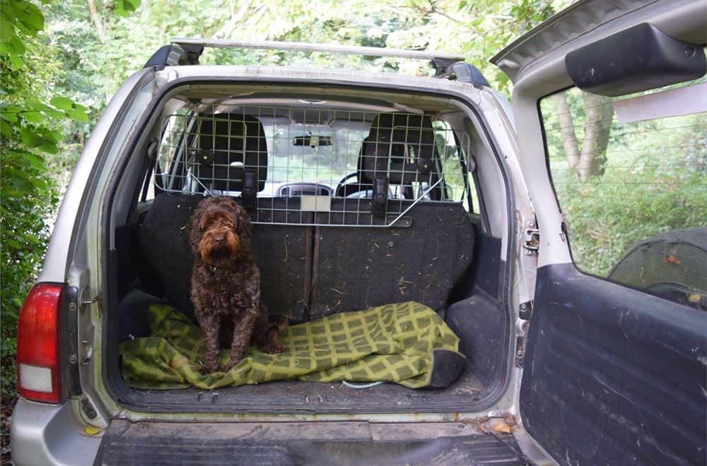 Rac front best sale seat dog guard