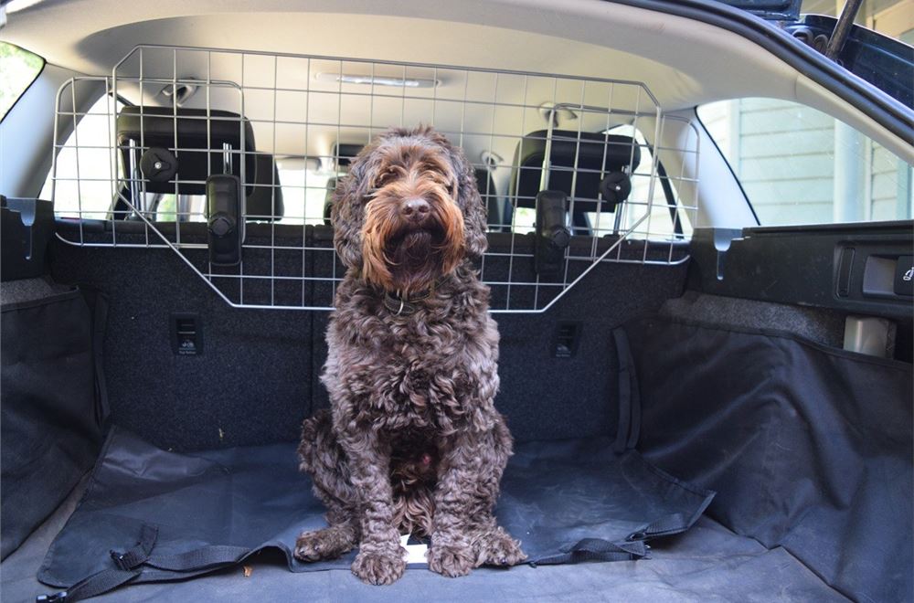 universal dog guard halfords