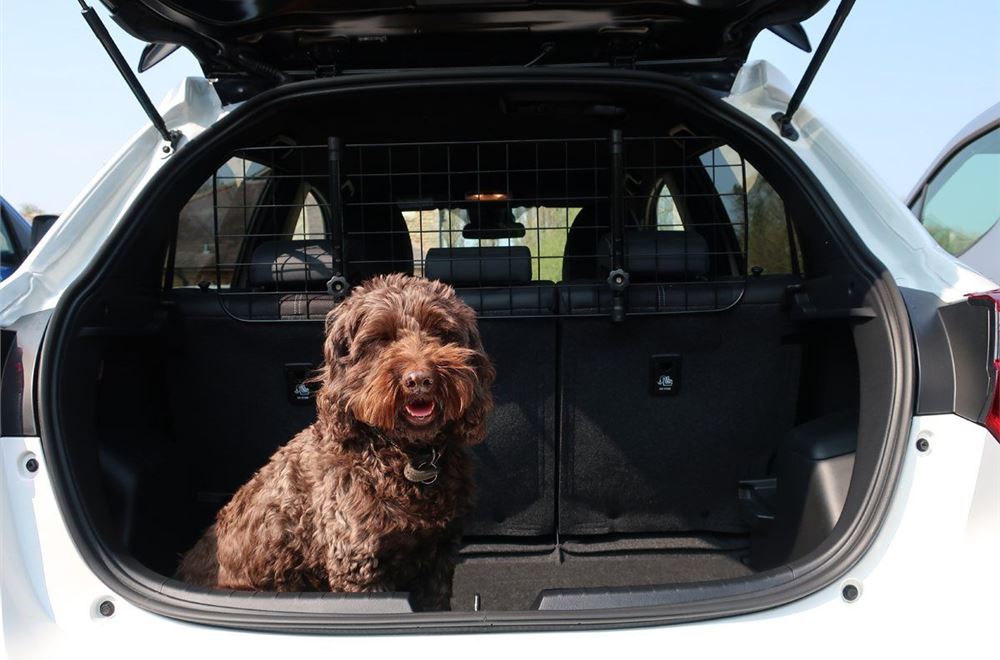 headrest dog guard