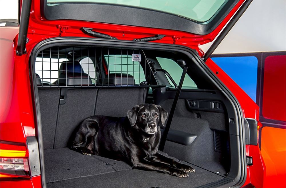 Dog harness for car boot best sale