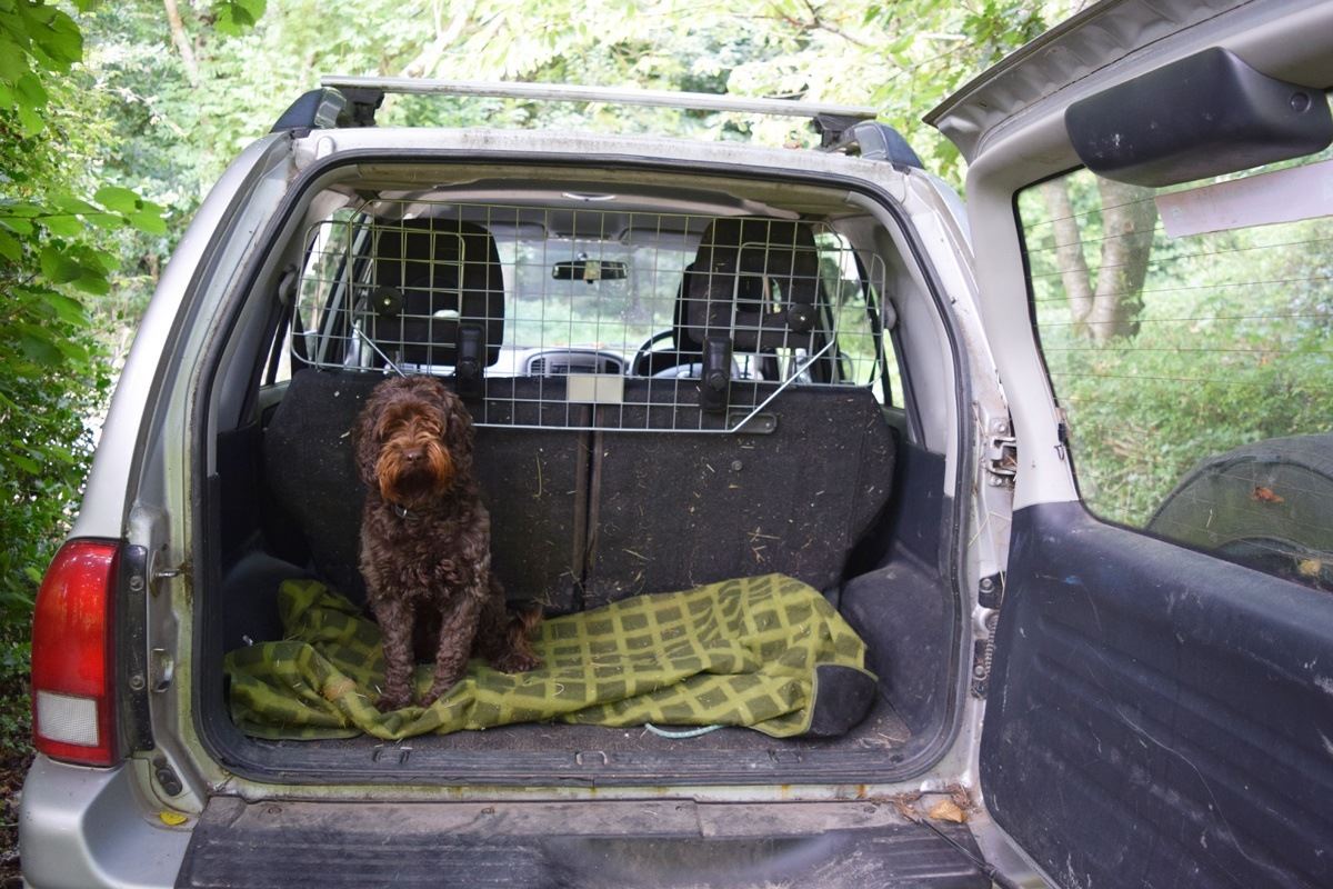 Vauxhall corsa clearance dog guard