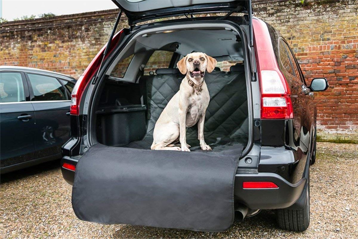 smart car dog guard