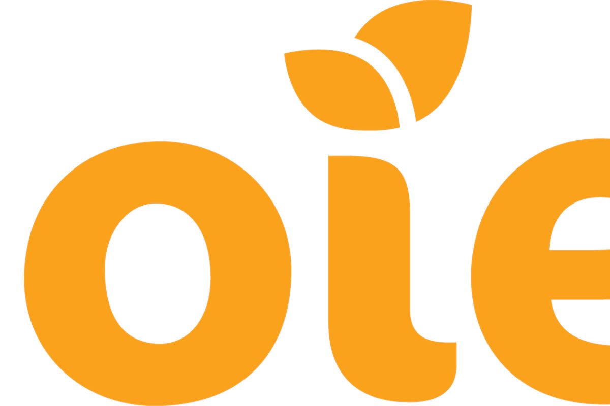 Sponsored Content Joie’s guide to Car Seat Safety Honest John