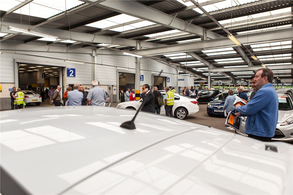 Manheim Separates Makes in 800 Car Auction Motoring News Honest John