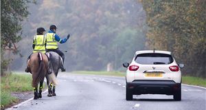 Drivers urged to cut their speed and give more space after horse road incidents double
