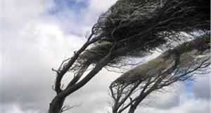 IAM Warns How to Drive in High Winds