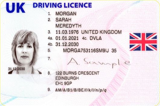 driving licence check