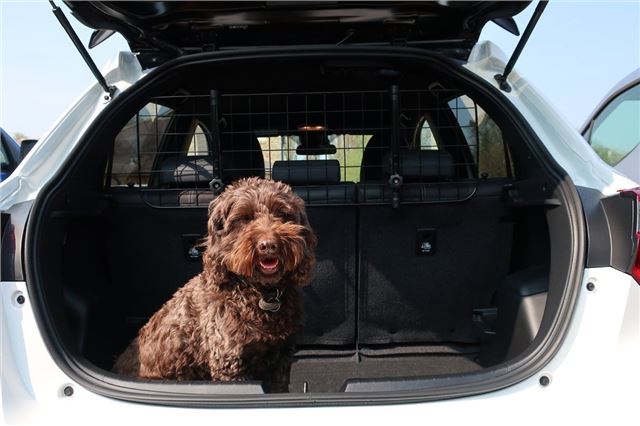 argos pet guard for car