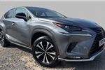 2021 Lexus NX