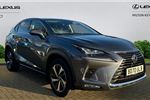 2020 Lexus NX