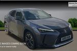 2019 Lexus UX