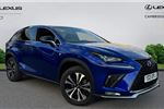 2021 Lexus NX