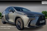 2023 Lexus NX