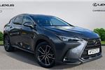 2023 Lexus NX