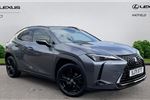 2021 Lexus UX