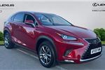 2019 Lexus NX