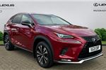 2021 Lexus NX