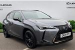 2021 Lexus UX