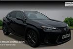 2020 Lexus UX