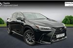 2022 Lexus NX