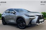 2023 Lexus NX