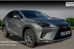 2019 Lexus NX