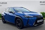 2021 Lexus UX