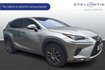 2018 Lexus NX