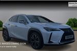 2020 Lexus UX