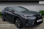 2024 Lexus UX