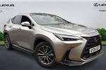 2024 Lexus NX