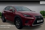 2019 Lexus NX