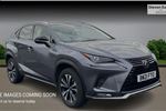 2021 Lexus NX