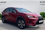 2021 Lexus NX