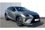 2021 Lexus NX