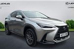 2023 Lexus NX