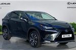 2021 Lexus NX