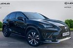 2020 Lexus NX