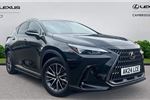 2024 Lexus NX