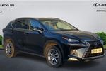 2019 Lexus NX