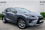 2019 Lexus NX