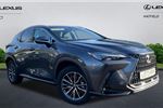 2024 Lexus NX