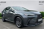 2024 Lexus NX