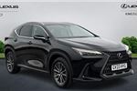 2023 Lexus NX