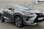 2020 Lexus NX