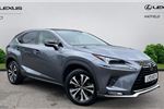 2021 Lexus NX