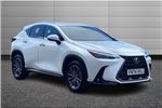 2024 Lexus NX