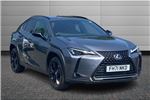 2021 Lexus UX