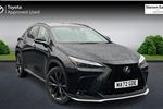 2022 Lexus NX